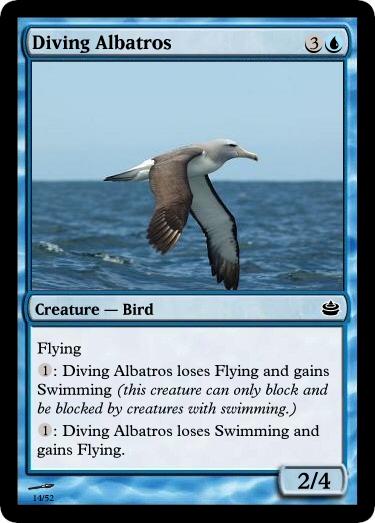 Diving Albatros